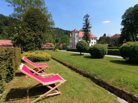 Knjižnica pod krošnjami