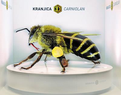 processed-ee6eaea0-23a4-43f8-86f8-a0da75197ed0_pMJuT1p5