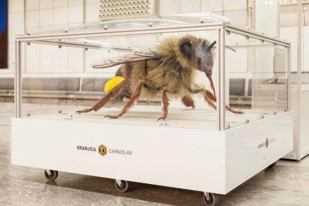 processed-b24bc022-47b5-499c-9b47-7d0391c9432a_nhqbLw0W