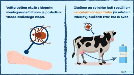 Klopni meningoencefalitis