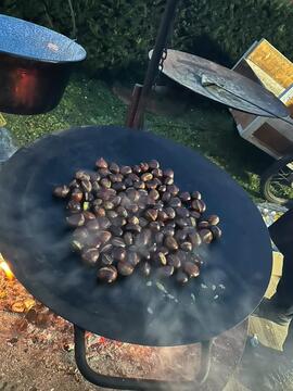 IMG_20251101_173643_816