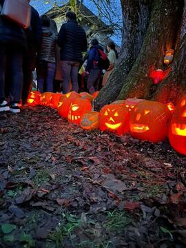 IMG_20251101_173656_939