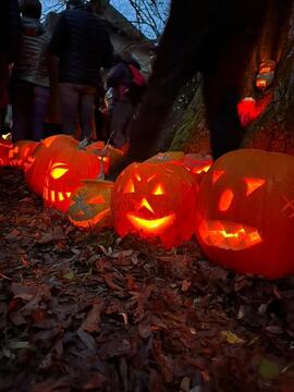 IMG_20251101_173658_086